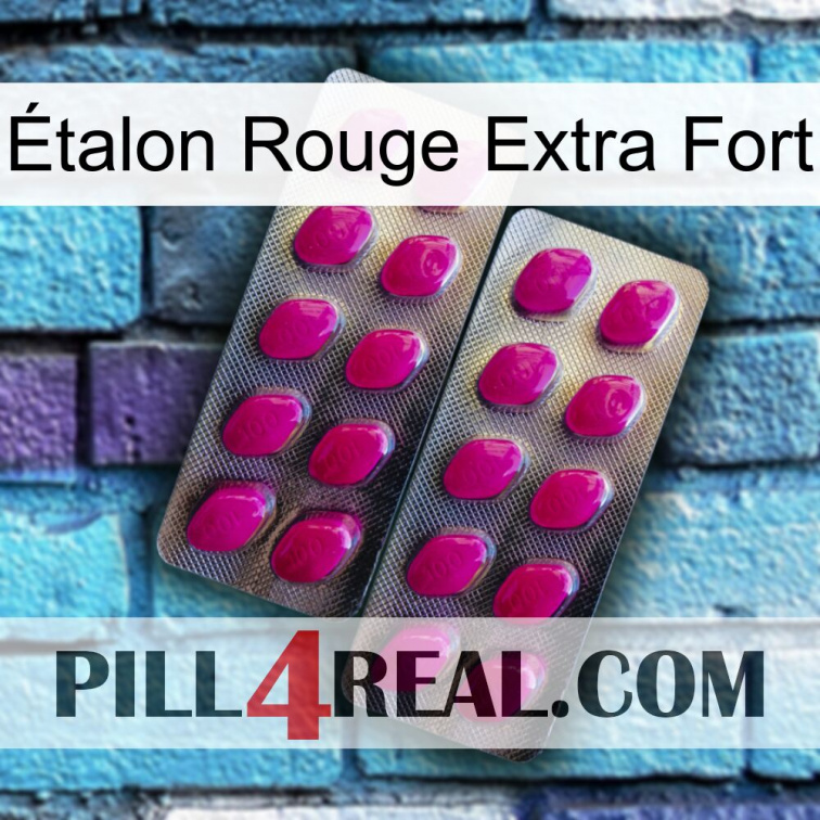 Étalon Rouge Extra Fort 10